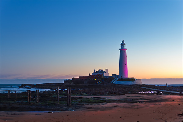 St Marys Lighthouse in Pink Picture Board by Kevin Tate