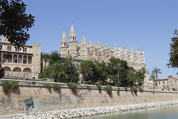 Palma Cathedral Picture Board by Kevin Tate