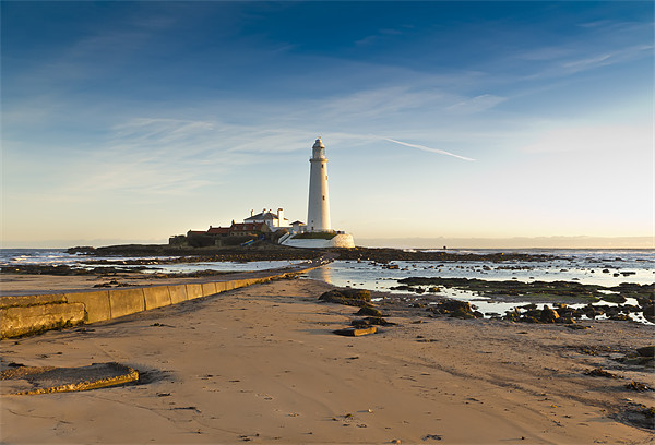 St Marys Lighthouse Picture Board by Kevin Tate