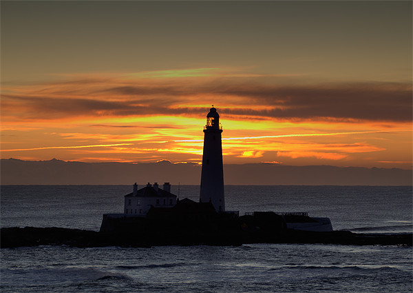 St Marys Lighthouse Silhouette Picture Board by Kevin Tate