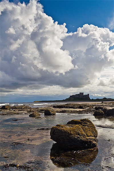 Bamburgh Castle from the Beach. Picture Board by Kevin Tate