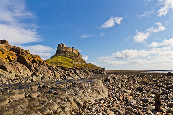 Lindisfarne Castle viewed from the shoreline. Picture Board by Kevin Tate