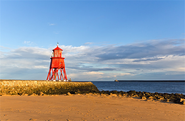Herd Groyne Lighthouse Picture Board by Kevin Tate