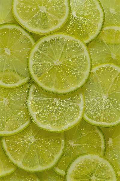 Lime Slice Picture Board by Kevin Tate
