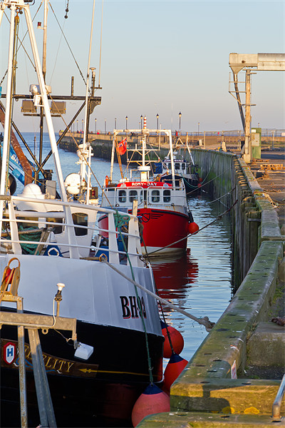 Amble Fishing Boats Picture Board by Kevin Tate