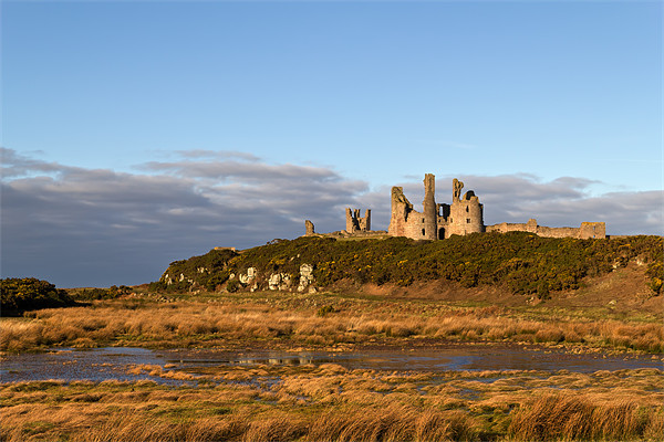 Dunstanburgh Castle Picture Board by Kevin Tate