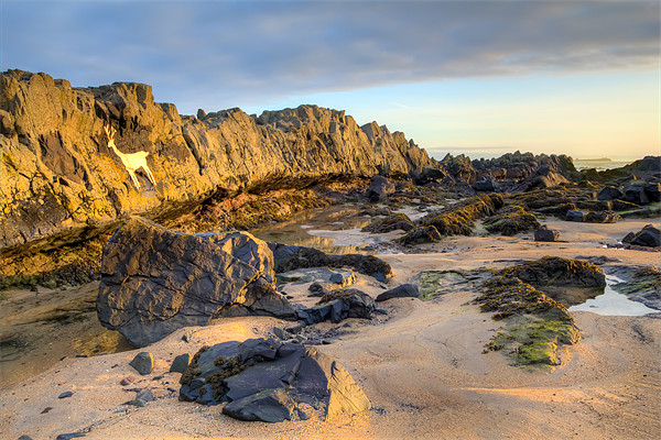 Stag Rock,Bamburgh Picture Board by Kevin Tate