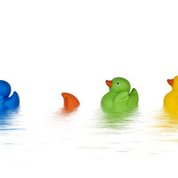 Buy canvas prints of Rubber Ducks by Kevin Tate