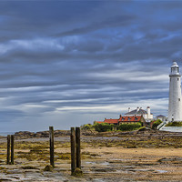 Buy canvas prints of St Marys at low tide by Kevin Tate