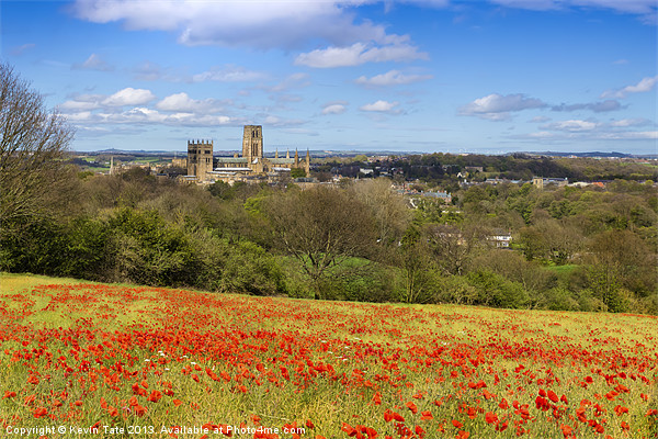 Durham Cathedral Poppies Picture Board by Kevin Tate