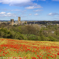 Buy canvas prints of Durham Cathedral Poppies by Kevin Tate