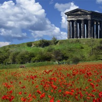 Buy canvas prints of Penshaw Poppies by Kevin Tate
