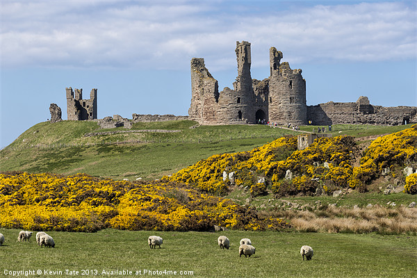 Dunstanburgh castle Picture Board by Kevin Tate