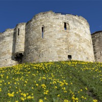 Buy canvas prints of York Castle by Kevin Tate