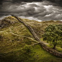 Buy canvas prints of Syamore Gap on Hadrians wall by Kevin Tate