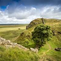 Buy canvas prints of Sycamore Gap, Hadrians Wall by Kevin Tate
