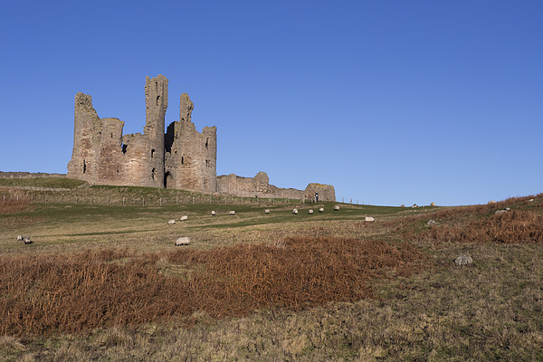 Dunstanburgh Castle Picture Board by Kevin Tate