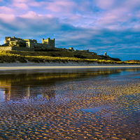 Buy canvas prints of Bamburgh Castle Evening Sun by Kevin Tate