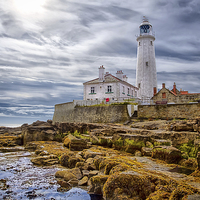 Buy canvas prints of St Marys Lighthouse by Kevin Tate
