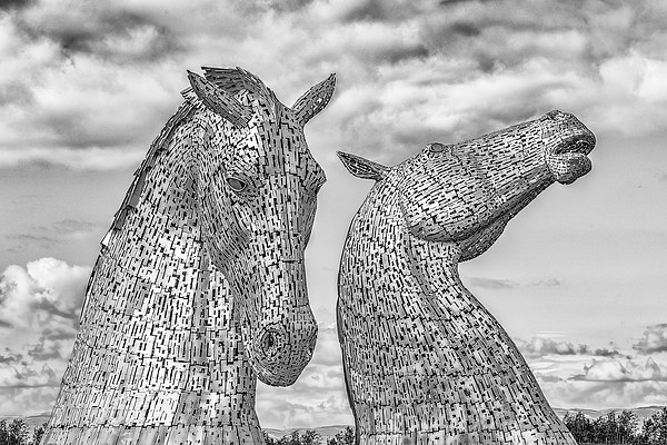 Falkirk kelpies Picture Board by Kevin Tate