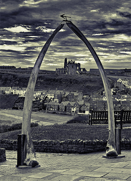The Whale Jaw Bone Arch Picture Board by Kevin Tate