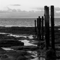 Buy canvas prints of st mary`s groyne b&w. by Northeast Images