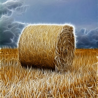 Buy canvas prints of hay bale by Northeast Images