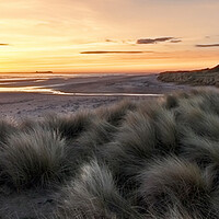 Buy canvas prints of Bamburgh Sunrise by Northeast Images