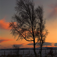 Buy canvas prints of wintry sunset by Northeast Images