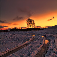 Buy canvas prints of wintry sunset by Northeast Images