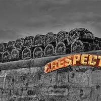 Buy canvas prints of A Little Respect by Northeast Images