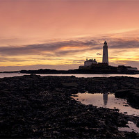 Buy canvas prints of St Mary`s lighthouse by Northeast Images