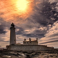 Buy canvas prints of St Mary`s Lighthouse by Northeast Images
