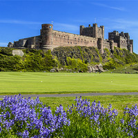 Buy canvas prints of Bamburgh and Bluebells by Northeast Images