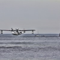 Buy canvas prints of Catalina at Sunderland by Northeast Images