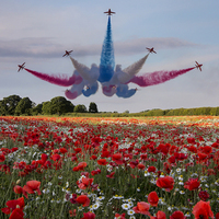 Buy canvas prints of Red Arrows by Northeast Images