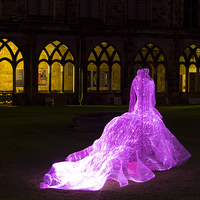 Buy canvas prints of Durham Lumiere by Northeast Images
