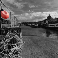 Buy canvas prints of Seahouses Harbour by Northeast Images