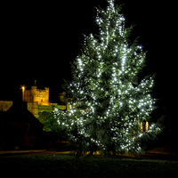 Buy canvas prints of Bamburgh Castle Christmas by Northeast Images