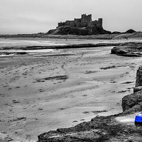 Buy canvas prints of Bamburgh Beach Police by Northeast Images