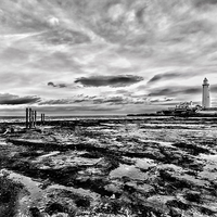 Buy canvas prints of St Mary`s Lighthouse by Northeast Images