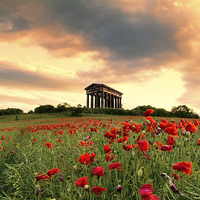 Buy canvas prints of Penshaw Monument by Northeast Images
