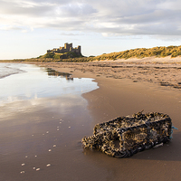 Buy canvas prints of Washed up at Bamburgh by Northeast Images