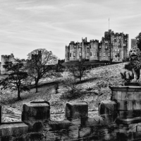 Buy canvas prints of  Alnwick Castle by Northeast Images