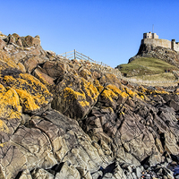Buy canvas prints of  Lindisfarne Castle by Northeast Images