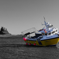Buy canvas prints of  Holy Island by Northeast Images