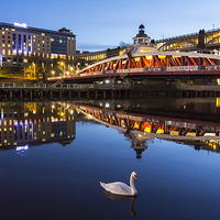 Buy canvas prints of  Newcastle Quayside - One Swan A Swimming by Northeast Images