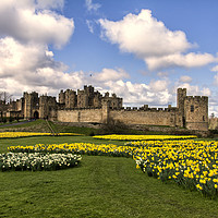 Buy canvas prints of Alnwick Castle by Northeast Images