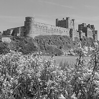 Buy canvas prints of Bamburgh by Northeast Images