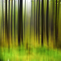 Buy canvas prints of Abstract Trees by Trevor Kersley RIP